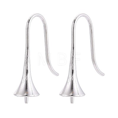 304 Stainless Steel Earring Hooks LS-STAS-N108-30P-1