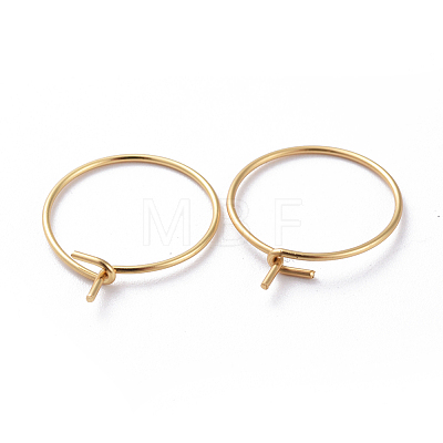 316 Surgical Stainless Steel Hoop Earring Findings X-STAS-J025-01D-G02-1