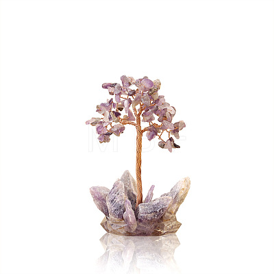 Natural Amethyst Display Decorations PW-WG2F573-01-1