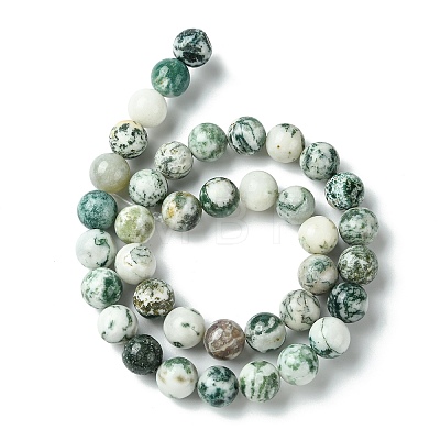 Natural Tree Agate Round Gemstone Beads Strands G-R255-10mm-1