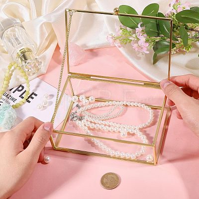 Transparent Glass Jewelry Organizer Display Cases with Metal Frame AJEW-WH0410-465B-1