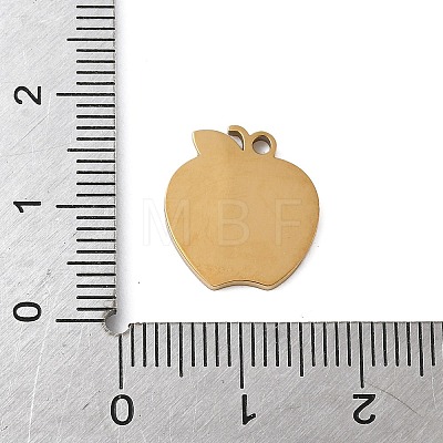 304 Stainless Steel Enamel Charms LS-STAS-K312-07B-G-1