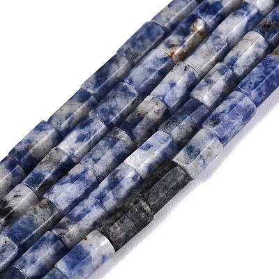 Natural Blue Spot Jasper Beads Strands GG-N002-01A-25-1