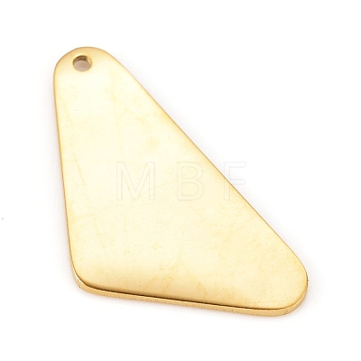 304 Stainless Steel Pendants STAS-L238-112B-G-1