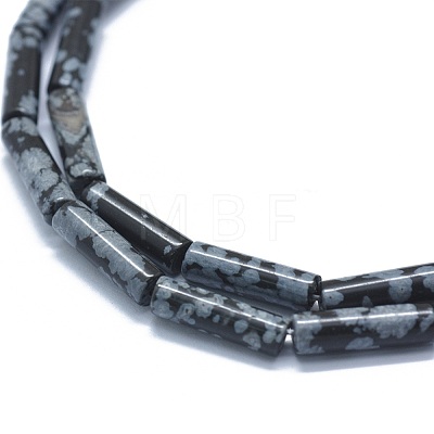 Natural Snowflake Obsidian  Beads Strands G-F631-D14-1
