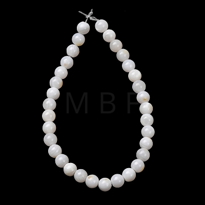 Natural Freshwater Shell Beads Strands SH-CBA2978-07D-04-1