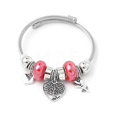 European Style Stainless Steel & Alloy Charm Bangles for Women PW-WG243C0-04-1