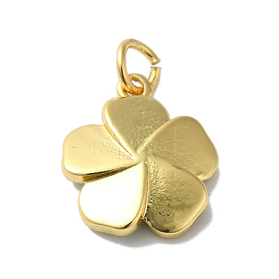 Rack Plating Brass Enamel Charms KK-O142-56G-01-1