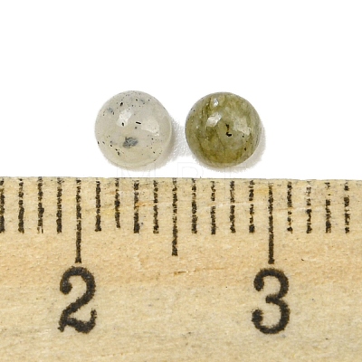 Natural Labradorite Cabochons G-H309-03-55-1