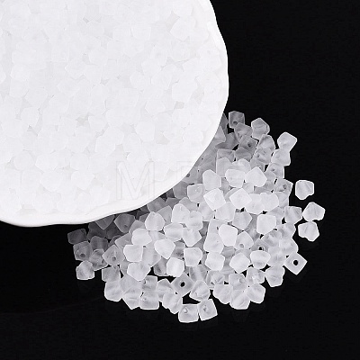 FGB Frosted Transparent Glass Seed Beads SEED-N013-03A-01-1