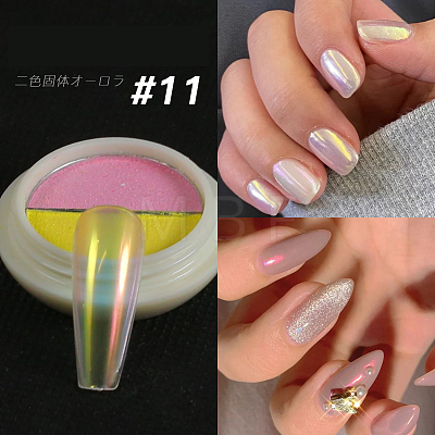 Solid State Two-Tone Color Nail Art Powder MRMJ-T067-12K-1