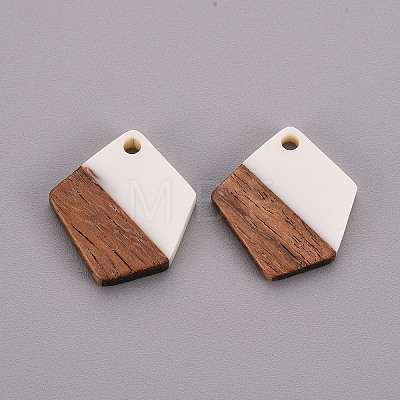 Transparent Resin & Walnut Wood Pendants RESI-S384-003A-A05-1