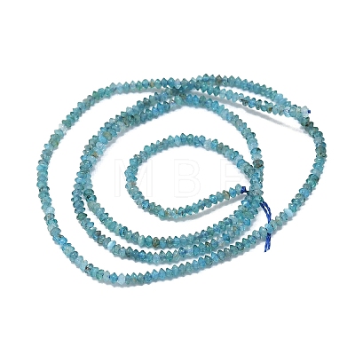 Natural Apatite Beads Strands G-G106-B02-01-1