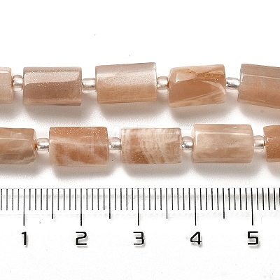 Natural Sunstone Beads Strands G-N327-06-12-1