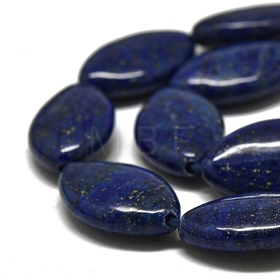 Natural Lapis Lazuli Beads Strands G-K311-08A-1