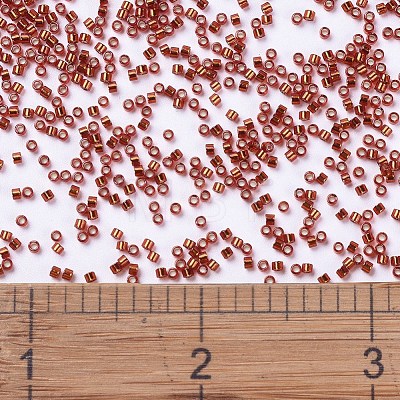 MIYUKI Delica Beads SEED-X0054-DB0601-1