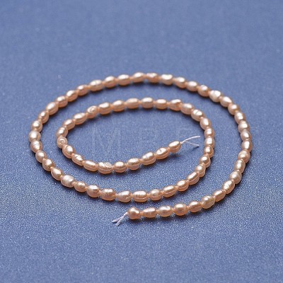 Natural Cultured Freshwater Pearl Beads Strands PEAR-P060-17-01-1