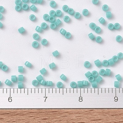 MIYUKI Delica Beads X-SEED-J020-DB1136-1