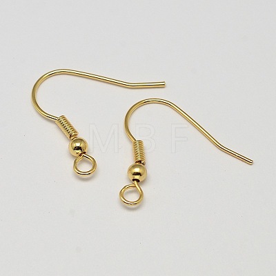 Brass Earring Hooks LS-X-KK-L137-03G-NR-1