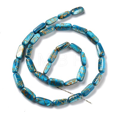 Natural Freshwater Shell Dyed Beads Strands SHEL-D082-18C-1