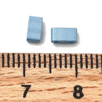 2-Hole Baking Paint Glass Seed Beads SEED-S023-17B-46-1