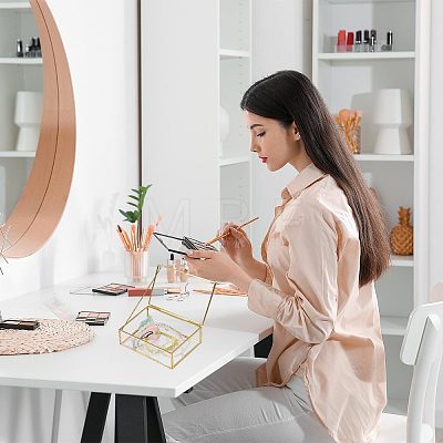 Transparent Glass Jewelry Organizer Display Cases with Metal Frame AJEW-WH0410-465B-1