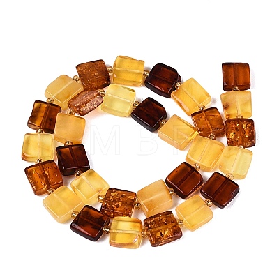 Natural Amber Beads Strands G-N371-15B-01-1