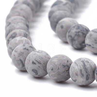 Natural Map Stone/Picasso Stone/Picasso Jasper Beads Strands G-T106-221-1