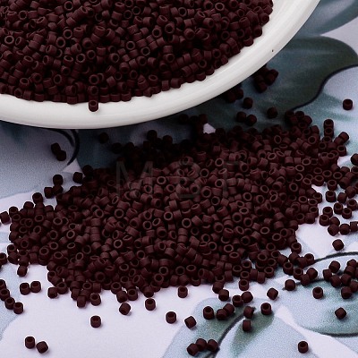 MIYUKI Delica Beads X-SEED-J020-DB1584-1