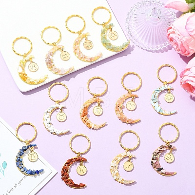 12Pcs Natural & Synthetic Gemstone Moon Keychains KEYC-YW00237-1