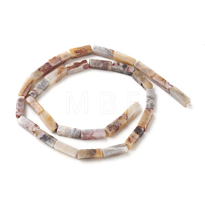 Natural Crazy Lace Agate Beads Strands G-G837-04-1