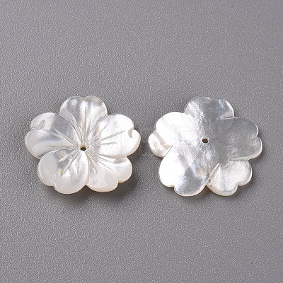 Natural White Shell Mother of Pearl Shell Beads X-SSHEL-R144-10-1