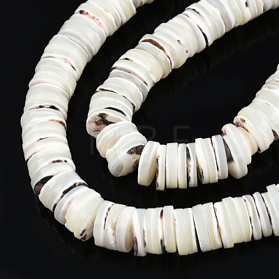 Natural Trochus Shell Beads Strands SSHEL-N034-163A-1
