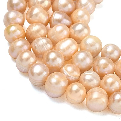 Natural Cultured Freshwater Pearl Beads Strands PEAR-L034-12D-1