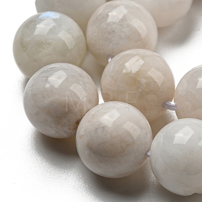 Natural Rainbow Moonstone Beads Strands G-N328-024-10mm-AB-1