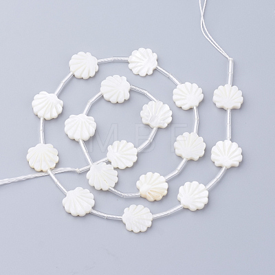 Natural White Shell Beads X-SSHEL-Q298-06-1