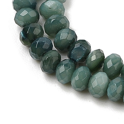 Natural Freshwater Shell Dyed Beads Strands SHEL-R100-13A-05-1