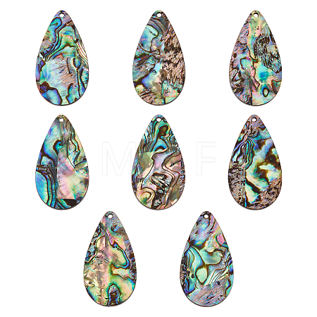 8Pcs Natural Paua Shell/Abalone Shell Pendants SHEL-BC0001-048B-1