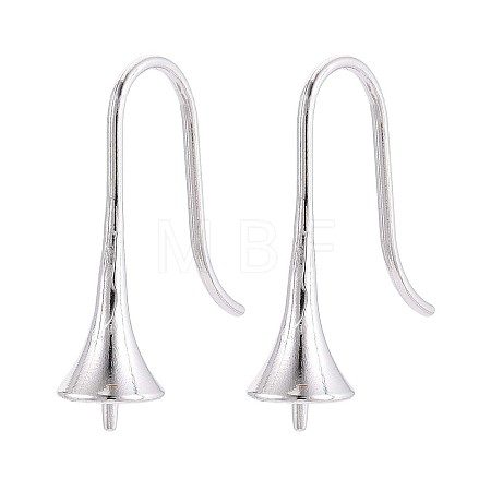 304 Stainless Steel Earring Hooks LS-STAS-N108-30P-1