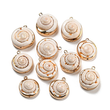 Natural Conch Shell Pendants BSHE-G034-14-1