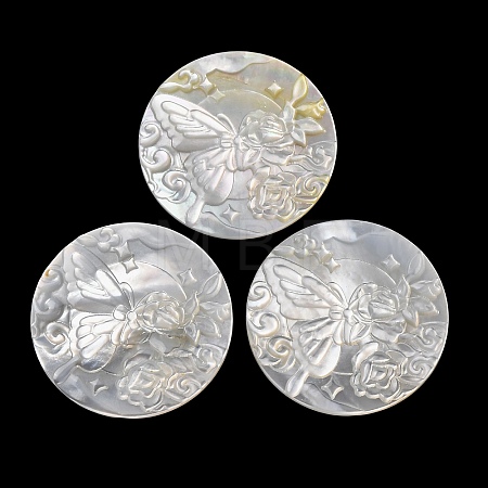 Natural White Shell Carved Cabochons SHEL-G024-01C-1
