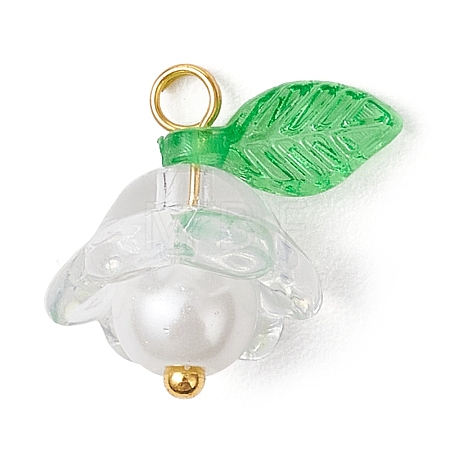 Glass Pendants PALLOY-MZ00837-04-1