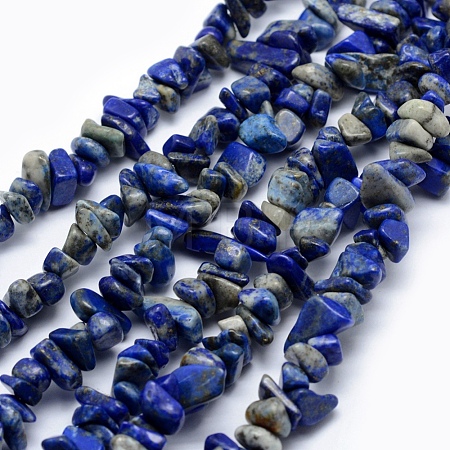 Natural Lapis Lazuli Beads Strands G-P332-12-1