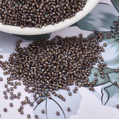 MIYUKI Delica Beads X-SEED-J020-DB1790-1