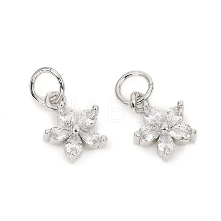 Brass Micro Pave Cubic Zirconia Charms ZIRC-L096-10P-1