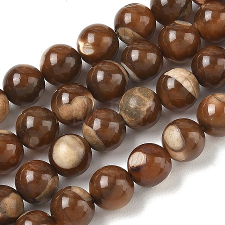 Natural Trochus Shell Beads Strands SH-CBAFEDD-02B-1