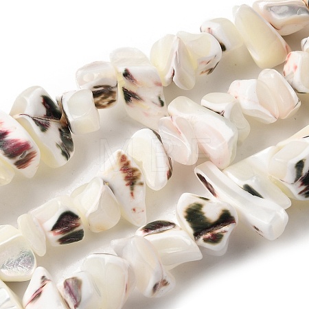 Natural Trochid Shell/Trochus Shell Beads Strands SHEL-B003-02J-1