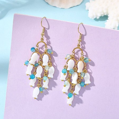 304 Stainless Steel & Natural Freshwater Shell & Agate Cluster Chandelier Earrings for Women EJEW-JE07468-1