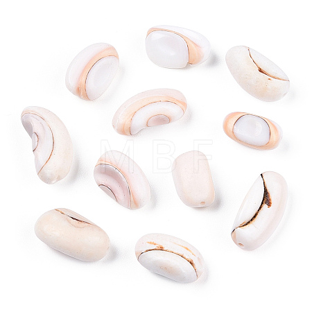 Natural Shell Beads X1-BSHE-TAC0003-03-1