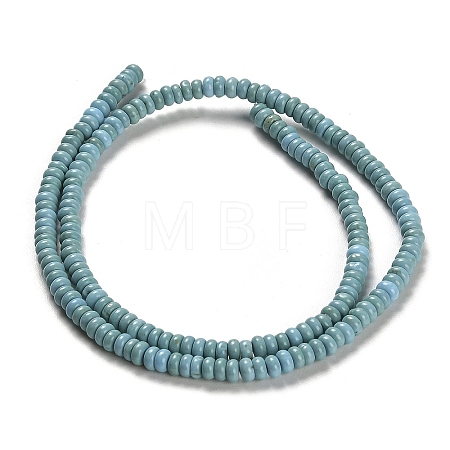 Natural Turquoise Beads Strands X-G-M422-B01-01-1